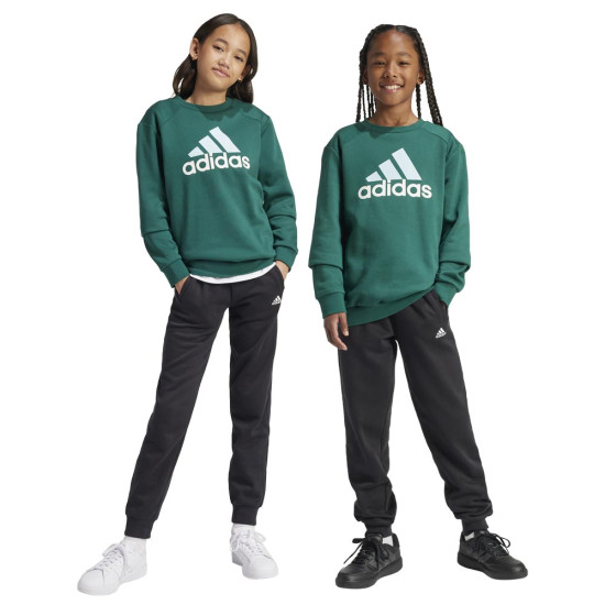 Adidas Παιδικές φόρμες σετ Essentials Big Logo Fleece Tracksuit Adidas Παιδικές φόρμες σετ Essentials Big Logo Fleece Tracksuit